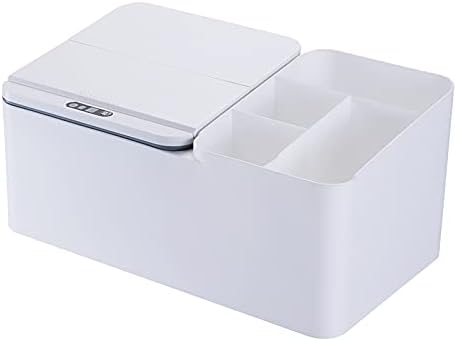 Desktop multi-compartment storage box