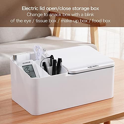 Desktop multi-compartment storage box