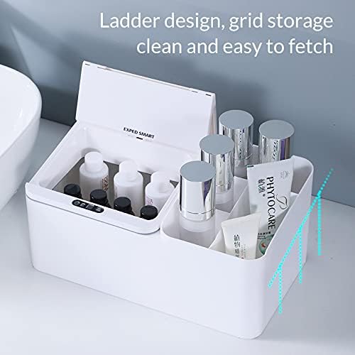 Desktop multi-compartment storage box