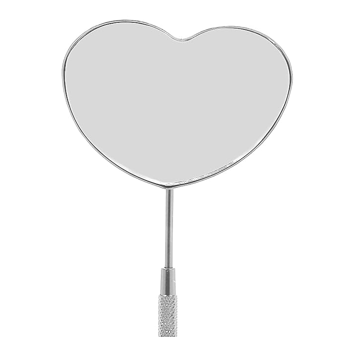 Professional Portable Stainless Steel Heart Shaped Lash Mirror, Anti Fog with Knurled Handle Design for Lash Extension, Makeup, Drawing, etc, Compact and Lightweight, Wonderful Gift for Girlfriends