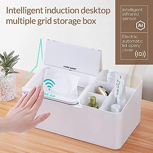 Desktop multi-compartment storage box