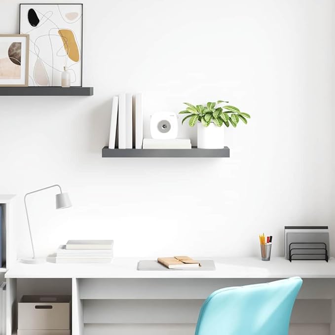 Floating Wall Shelf with Invisible Mount, High Gloss Gray Modern Display Rack for Living Room & Office, 23.6 Inch MDF Board for Books Decor Awards