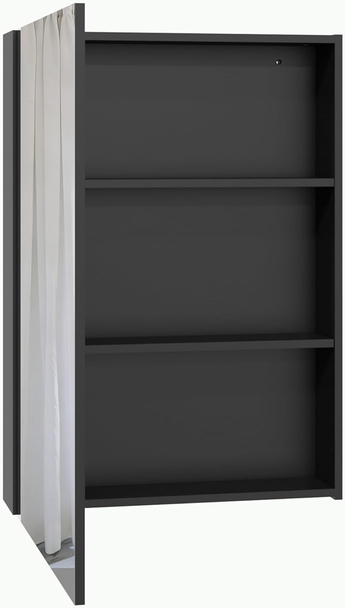 Panana Bathroom Mirror Cabinet Medicine Cabinets with Mirrored Door Wall Mounted Cabinet with Mirror, Storage Shelf with Adjustable Shelves Storage Organizer Kitchen Cupboard (Black, 19.7x27.6 inch)