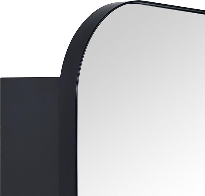 TEHOME Black Rectangle Bathroom Medicine Cabinet with Mirror Matt Black Recessed and Surface Mount Stainless Steel Metal Framed Rounded Rectangular Bathroom Cabinet with Mirror 22x30''