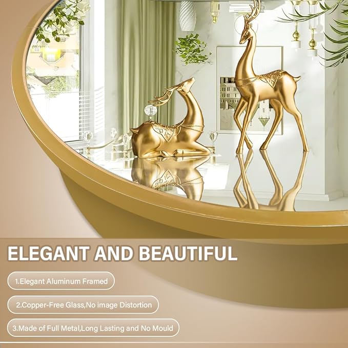 Round Medicine Cabinet,Medicine Cabinet with Mirror,Aluminum Framed,Soft Close Hinge,20inch,Gold