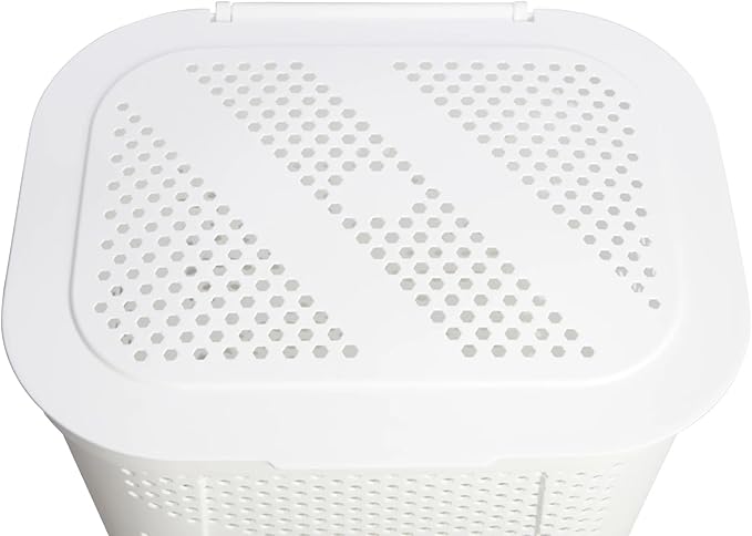 24" Plastic Hinged-Lid Rectangle Laundry Hamper, All Ages, White