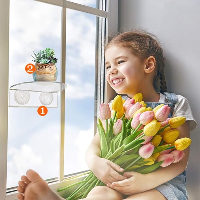 Suction Cup Window Shelf Acrylic Plant Shelf for Garden Bathroom Shelf Removable Wall Mounted Shelf