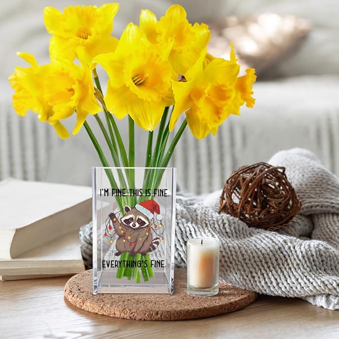 I'm Fine This Is Fine Acrylic Cosmetic Pencil Pen Holder Cup, Funny Raccoon Christmas Pen Holder Cup, Raccoon Lover Gifts for Women Men, Office Sarcastic Gifts for Women Men Colleague Boss