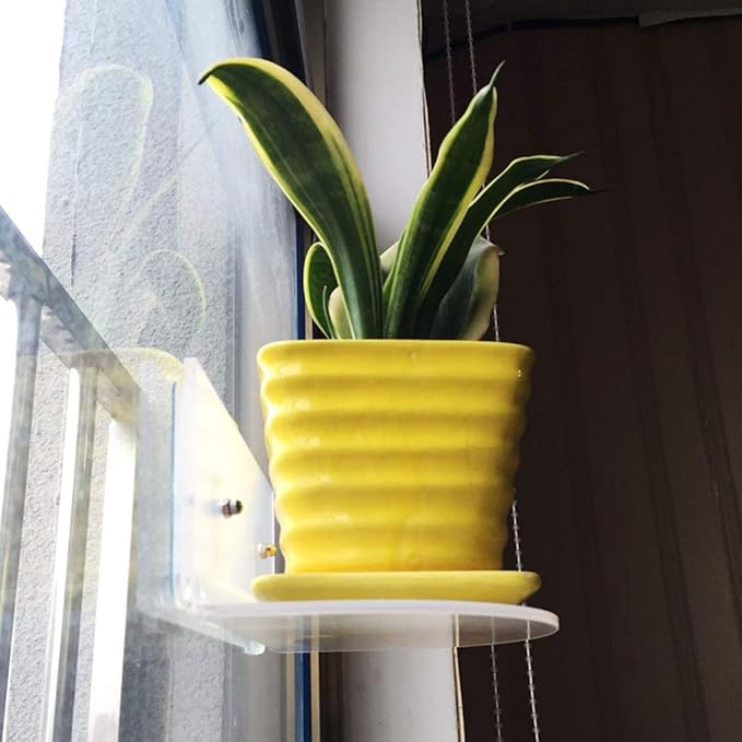 Suction Cup Window Shelf Acrylic Plant Shelf for Garden Bathroom Shelf Removable Wall Mounted Shelf