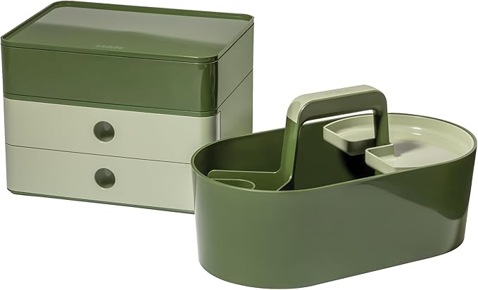 HAN Toolbox Loft Plastic Basket with Handle, 4 Compartments Desk Basket, Cleaning Basket, Craft Basket, Storage for Utensils, Green, 1200-40
