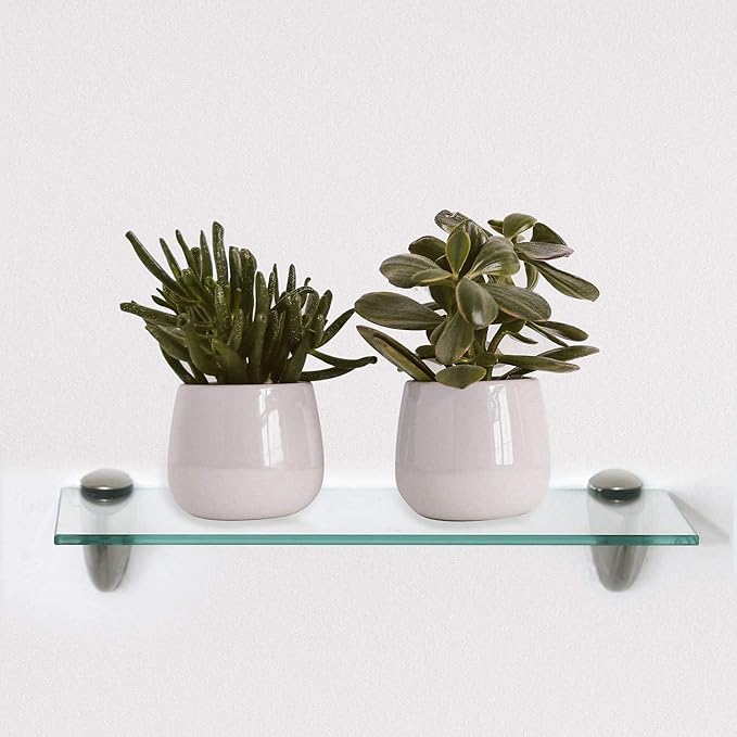 Momento Glass Shelf, 6.5" x 12" inch - 3/8 Inch Thick Clear Rectangle Shelf with 2 Free Chrome Brackets and Screws For Displacing Trophies, Awards, Pictures Frames, Paintings and Decoration Items