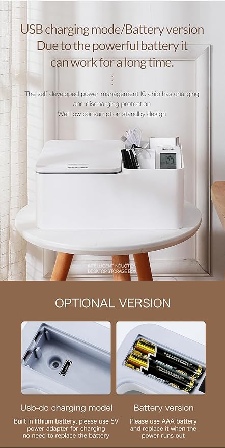 Desktop multi-compartment storage box