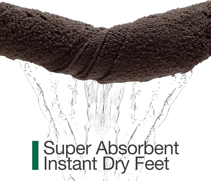 LUMI Ultra Soft Bathroom Rugs Non Slip with Rubber Backing, Absorbent Washable Bath Mat Quick Dry, Upgraded Premium Microfiber Plush Carpet for Bathtub and Shower Floor, Brown, 17x30