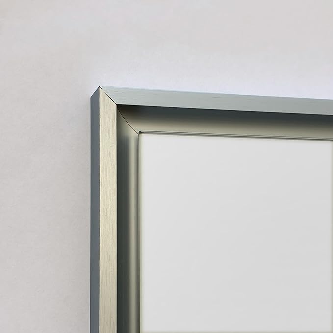 Fox Hollow Furnishings 20x30 Parker Metro Metal Framed Rectangle Recessed Bathroom Medicine Cabinet, Floating Mirror, 18x28 in-Wall Opening, Adjustable Glass Shelves, Magnet Close, Brushed Nickel