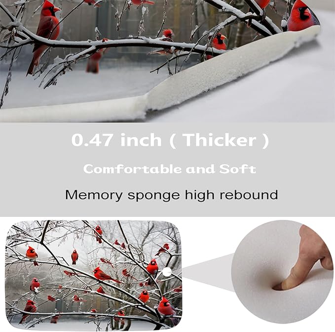 Funny Cardinal Birds on Branch Coral Velvet Bathroom Rugs and Mats Sets 3 Piece, Memory Foam Bath Mat, U-Shaped Contour Shower Mat Non Slip Absorbent, Velvet Washable 20 x 31 inch