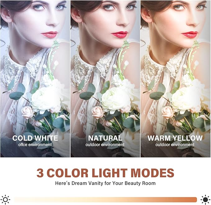 CASSILANDO Hollywood Vanity Mirror with Lights, Vanity Makeup Mirror with 9 LED Bulbs, 3 Color Lighting Modes, U-Shaped Bracket, Smart Touch Control
