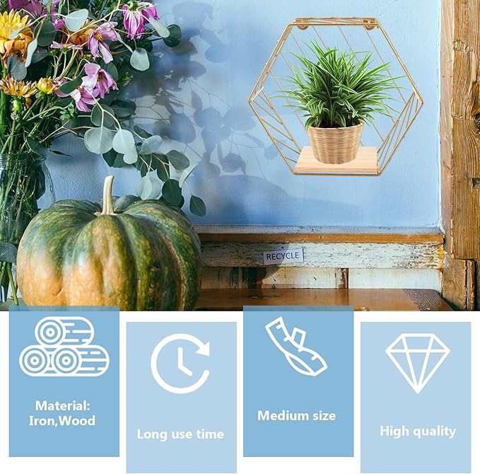 BESPORTBLE Wall-Mounted Iron Storage Shelf, Kitchen Wall Rack with Gold Hexagon Design, No-Drill Decorative Floating Shelf for Bathroom and Home Organization